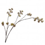 ARALIA GREEN PING 140 - DECO FLOWER